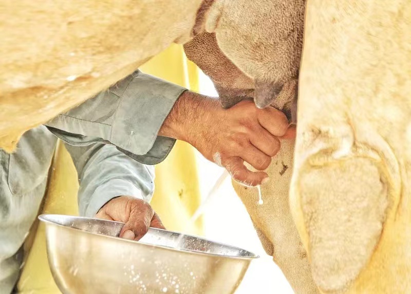 1662447915483327.jpg 286433cae947ea624bf7e0a6d4a590c.jpg