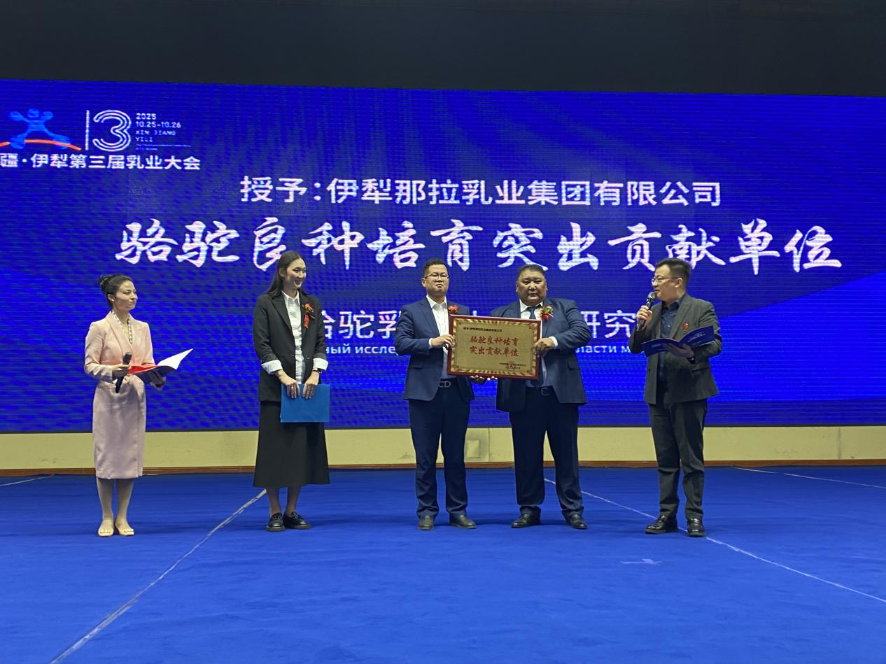 1761527672187061.png 图片 11.png