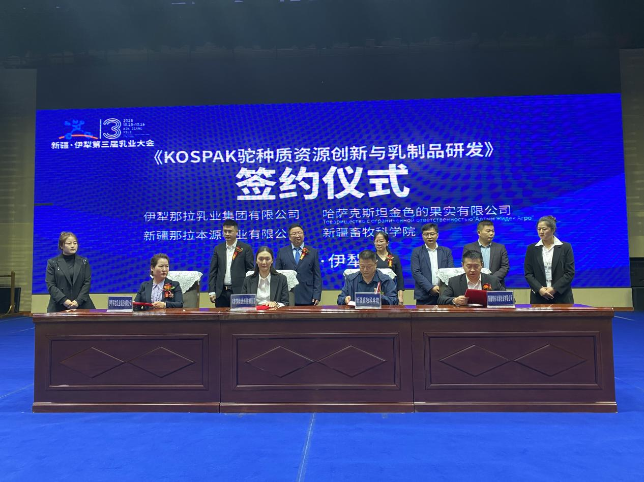 1761527686539505.png 图片 13.png