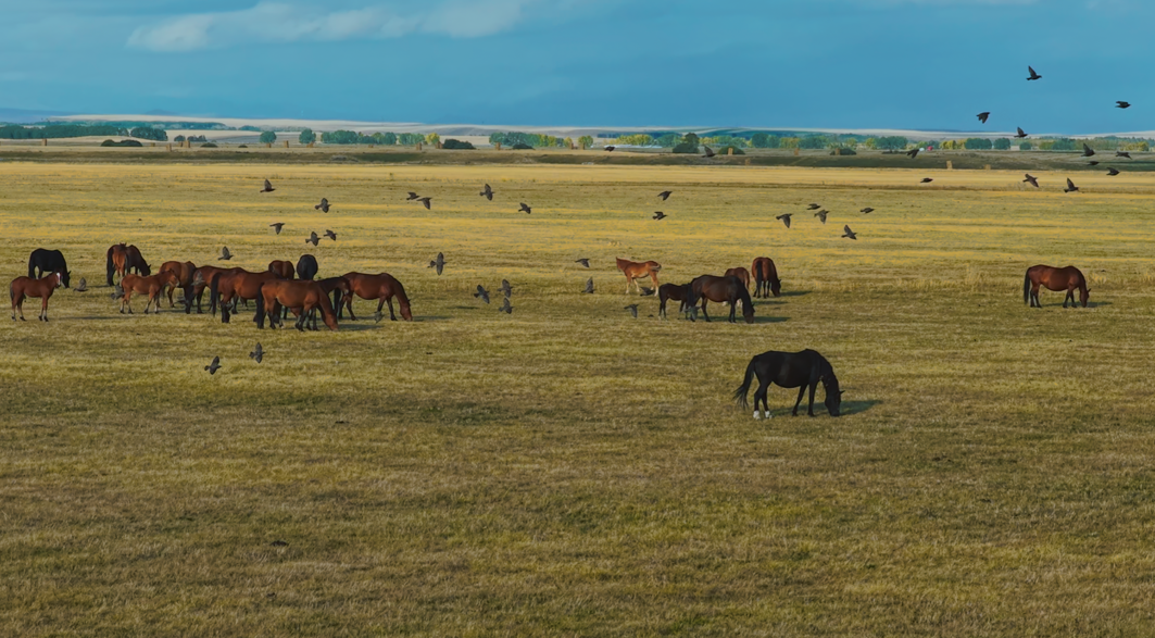 1764657372663539.png 图片 7.png