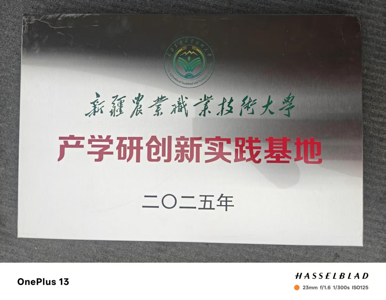 1764657382342004.png 图片 6.png